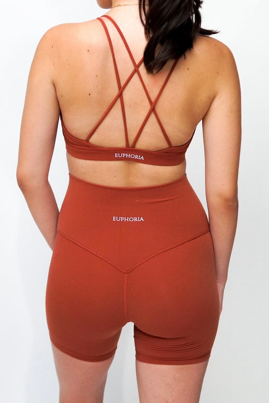 Burnt Red Bikers